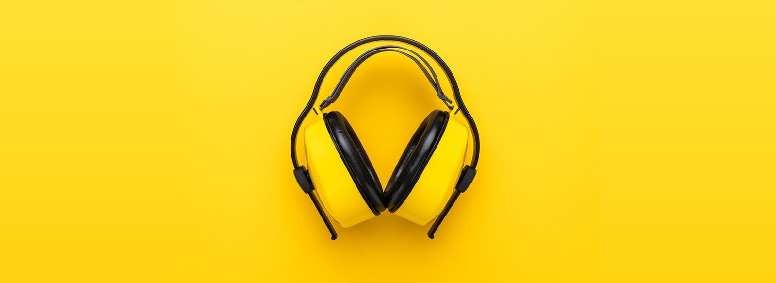 Assessoria e Consultoria do Programa de Conservação Auditiva (PCA)